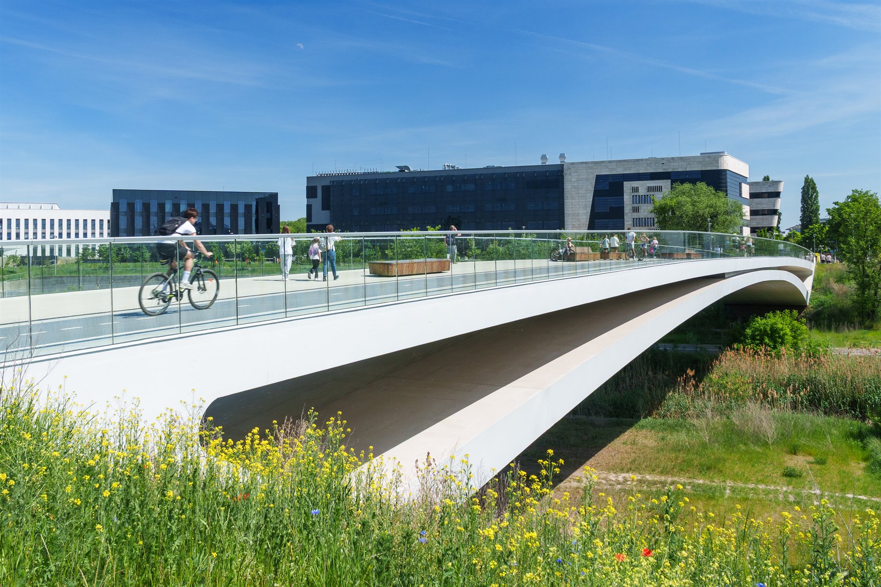 Poznan University of Technology campus bridge